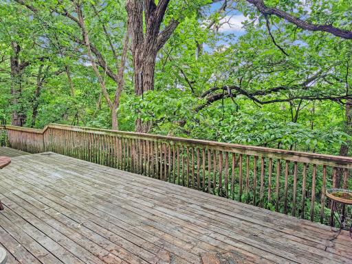 16220 Hayes Avenue, Carver, MN 55315
