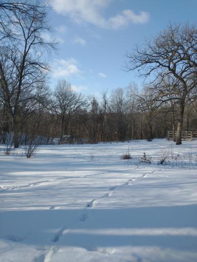 16220 Hayes Avenue, Carver, MN 55315