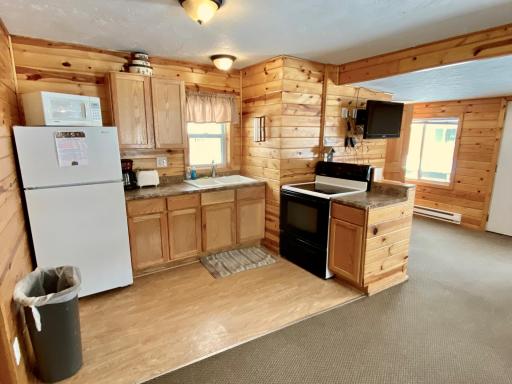 19262 N Blackduck Lake Road NE, Hines, MN 56647