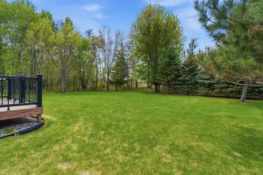 24175 White Pine Drive, Nisswa, MN 56468