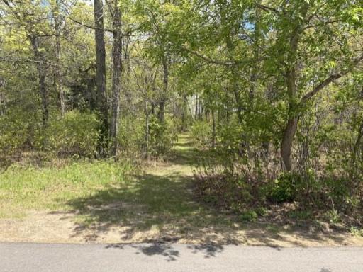 24175 White Pine Drive, Nisswa, MN 56468