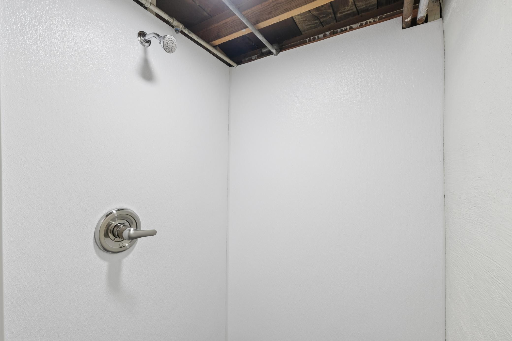 Rustic basement shower (interior recently redone)