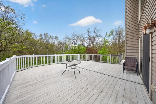 36649 Ember Drive, Lanesboro, MN 55949