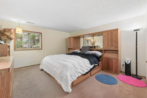 Lower level bedroom #4 with walk in closet.