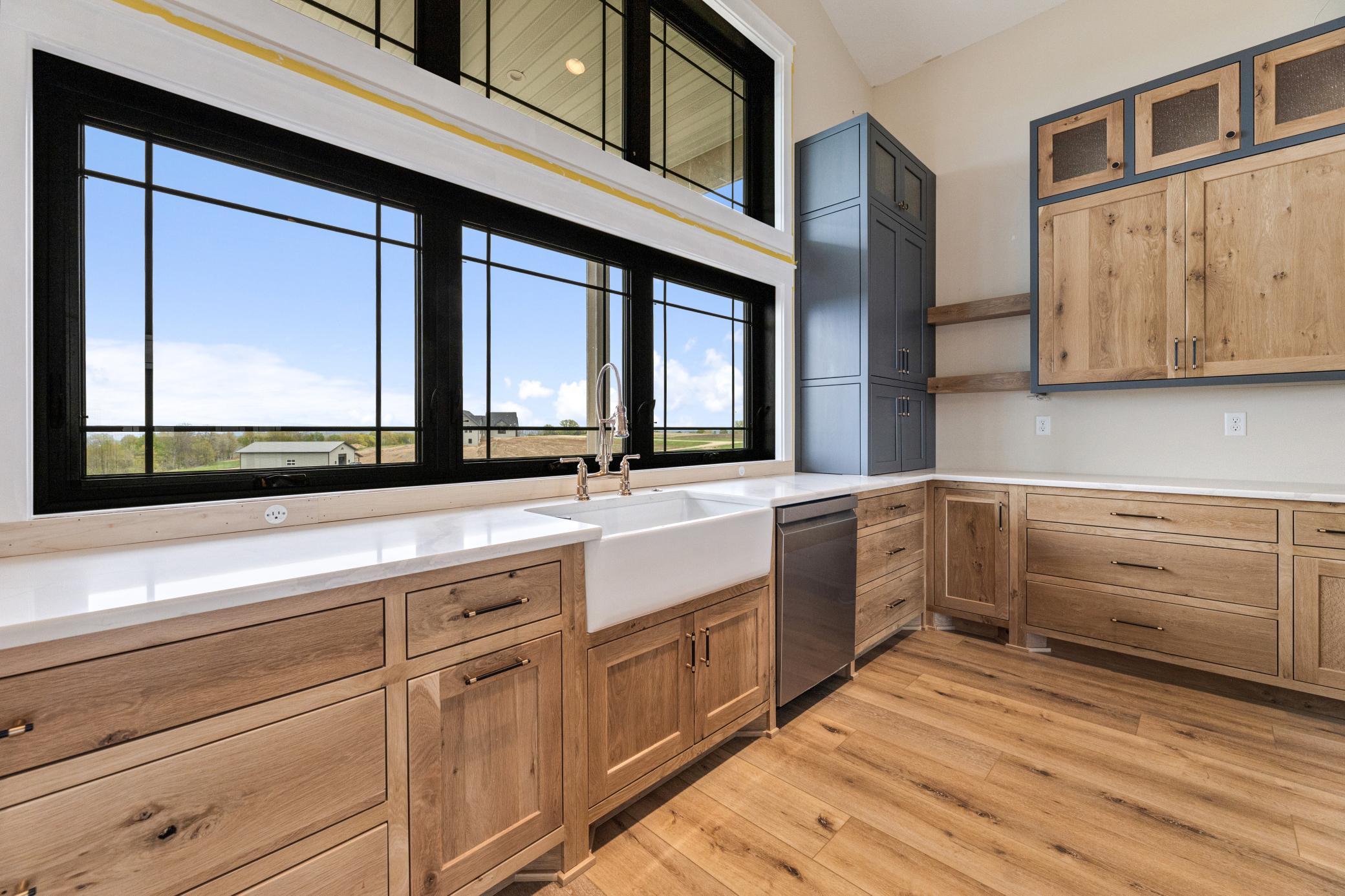 kitchen sink/windows