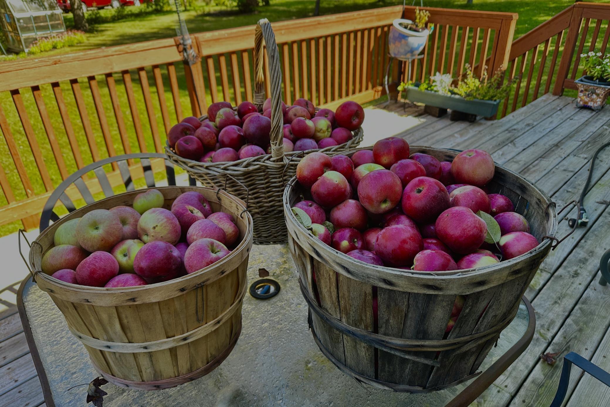 Nothing better than home grown produce