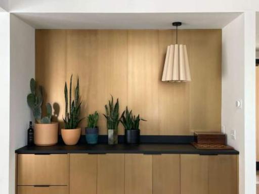 Examples of previous work by Everson Architect and City Homes