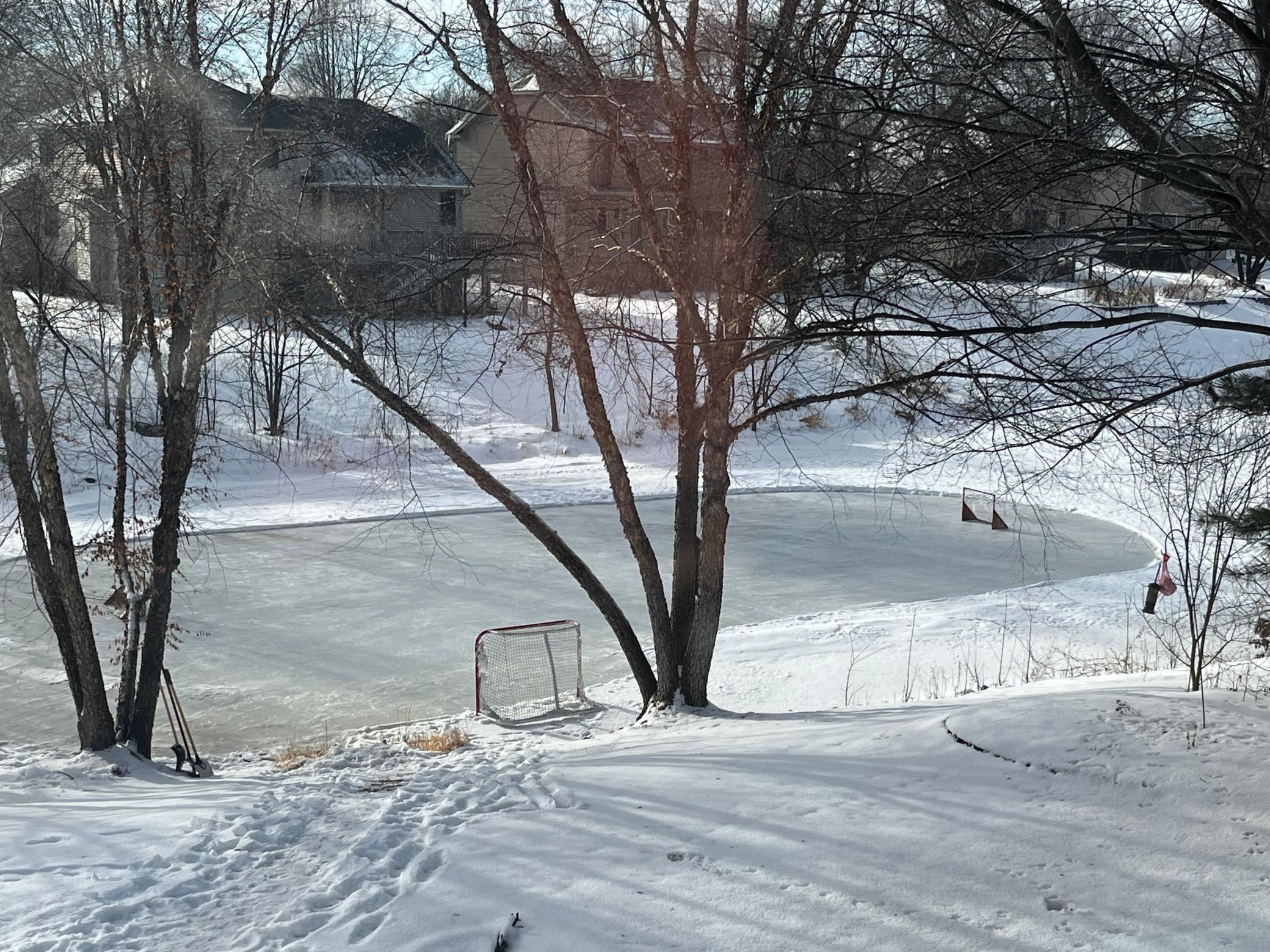 Imagine being able to skate in your own back yard!