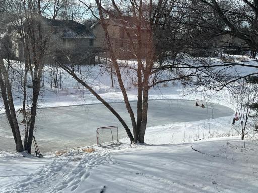 Imagine being able to skate in your own back yard!