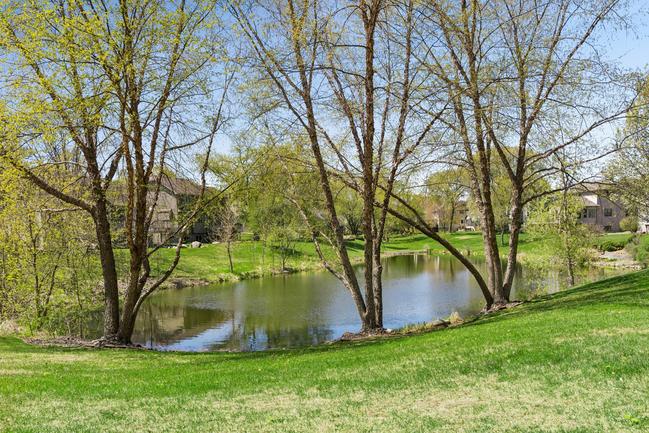 Gorgeous backyard backing up to a pretty pond.