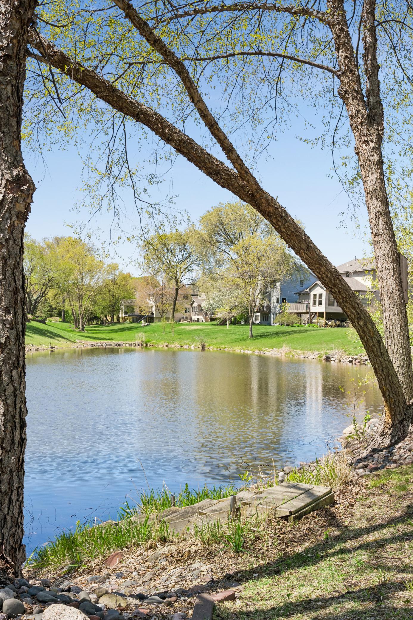 More pond views.