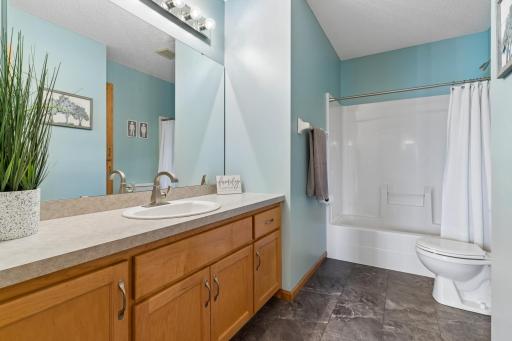 8991 Montegue Terrace, Minneapolis, MN 55443
