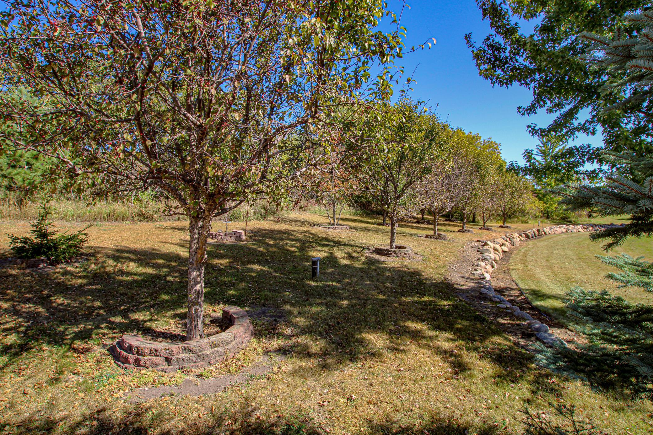 Fruit trees