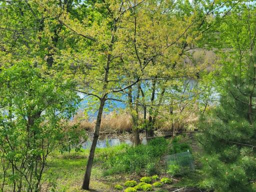 11516 172nd Street W, Lakeville, MN 55044