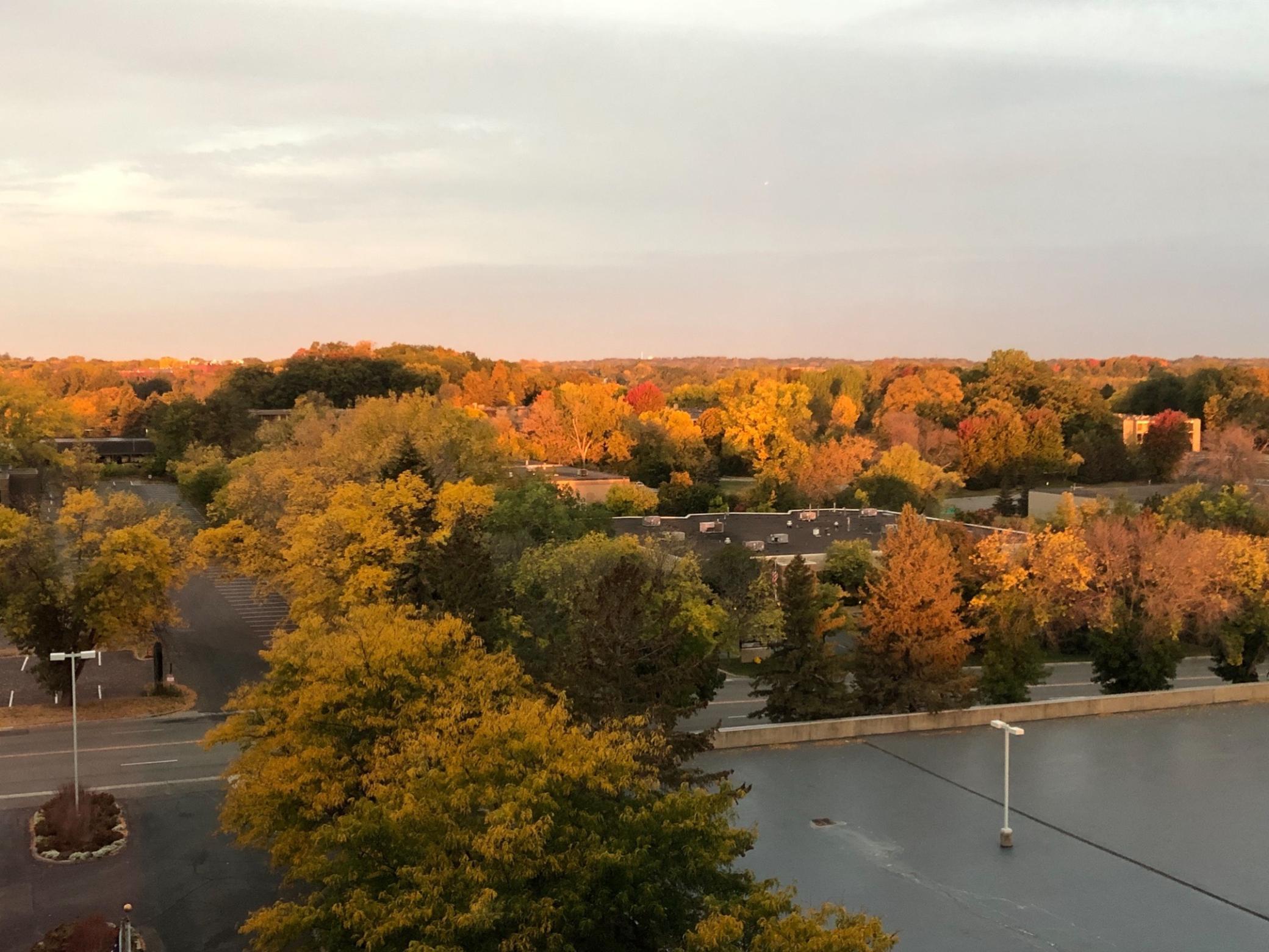 Homeowner photo highlighting the gorgeous fall colors