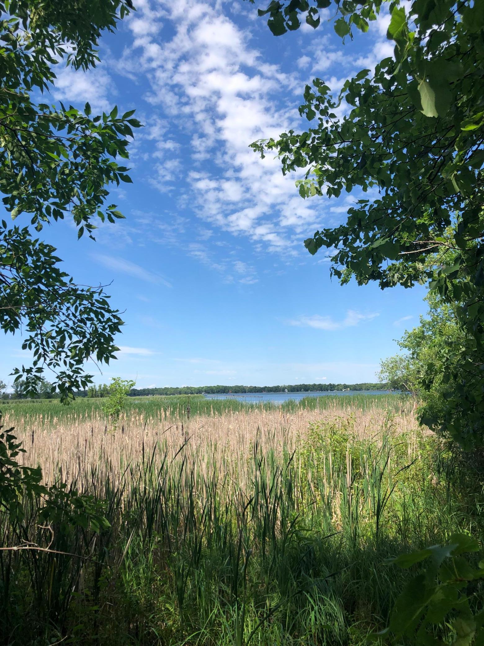 Mille Lacs Lake frontage.