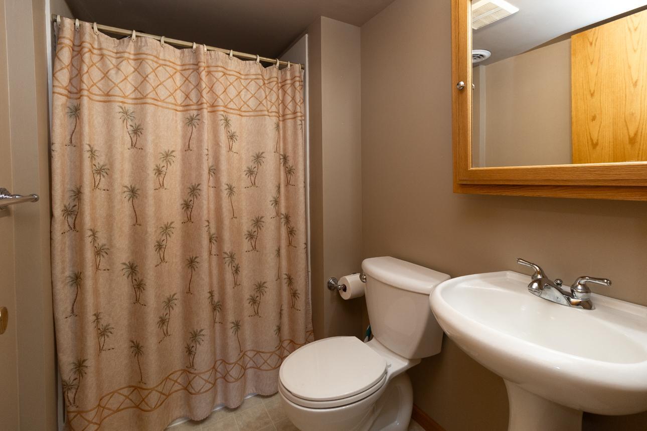 Lower Level Bathroom