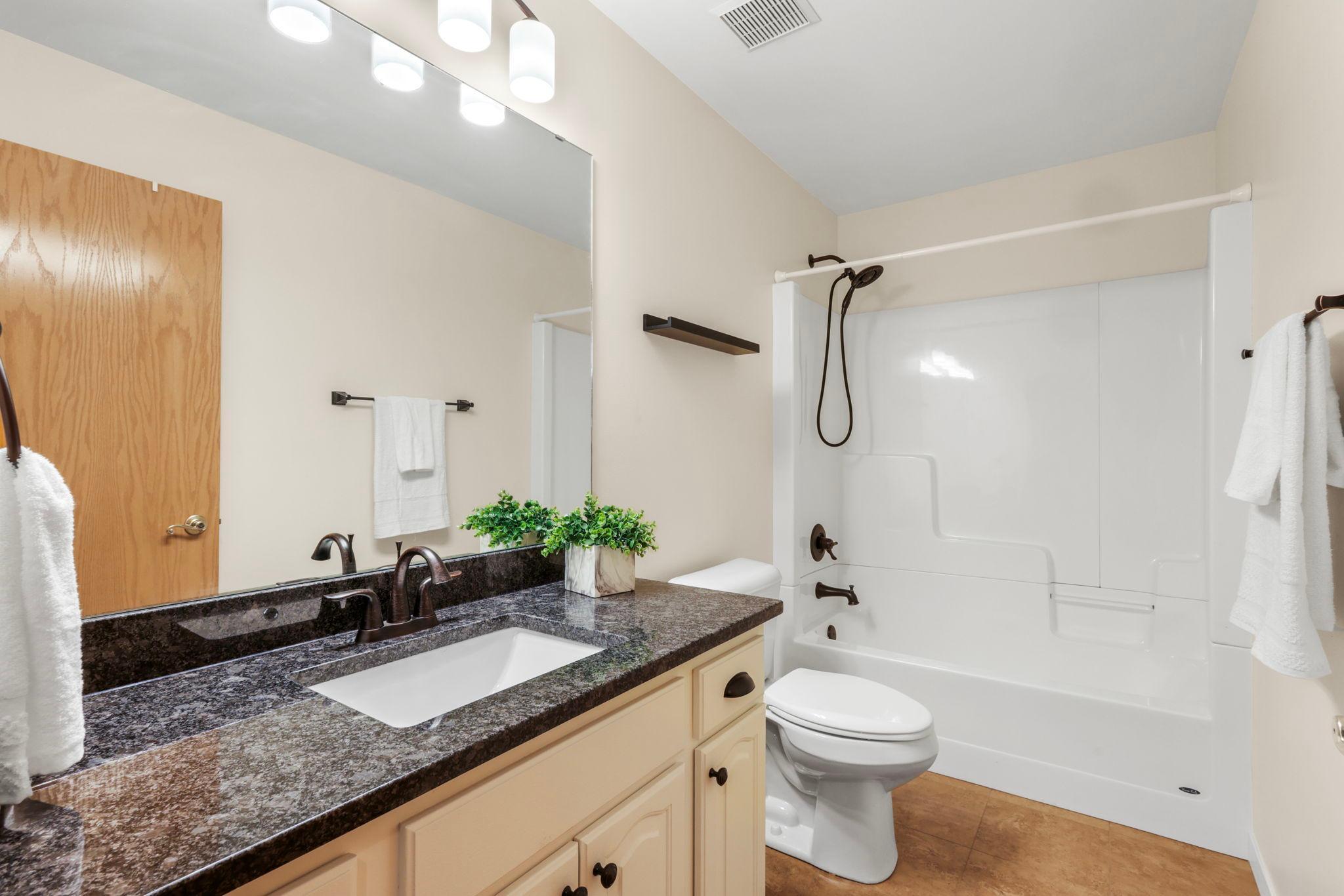 Lower level bathroom