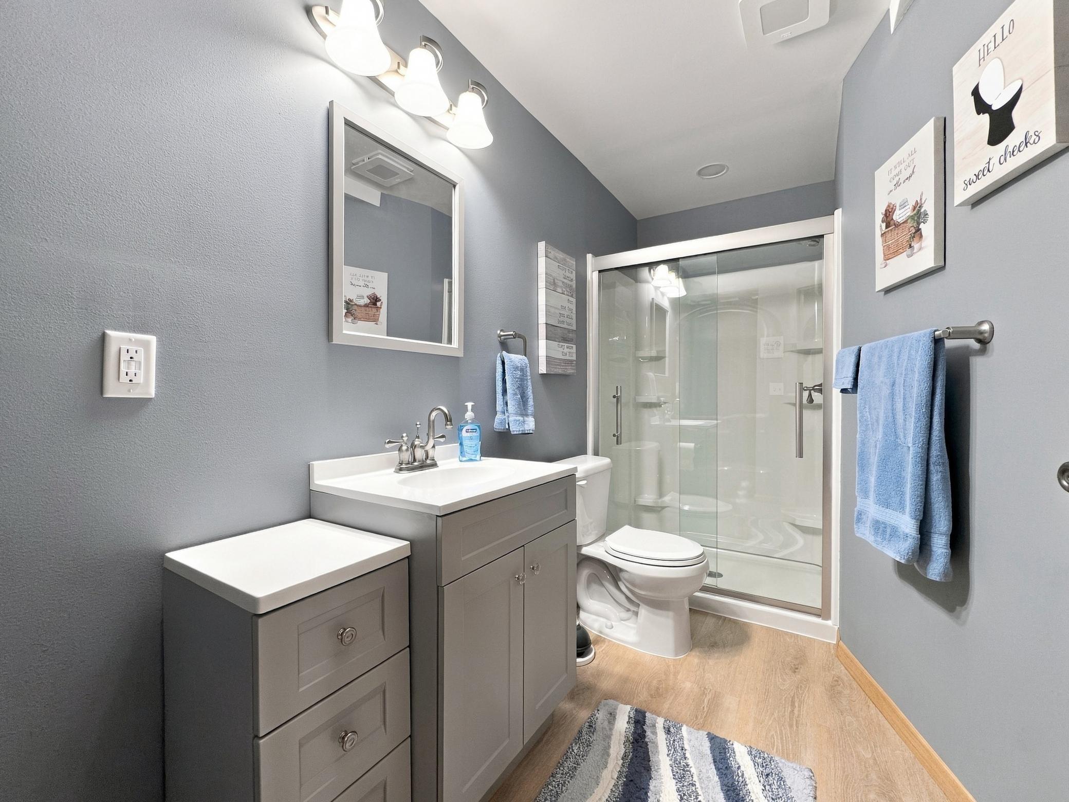 Lower level bathroom