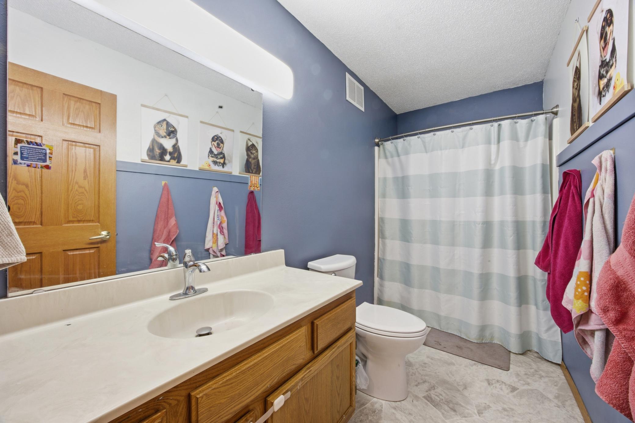 Bathroom Full Lower Level