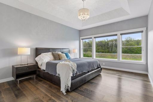 Spacious primary suite with tray ceiling, engineered wood floors, oversized windows and relaxing backyard views. Main-level ownerâs suite designed for comfort and privacy.