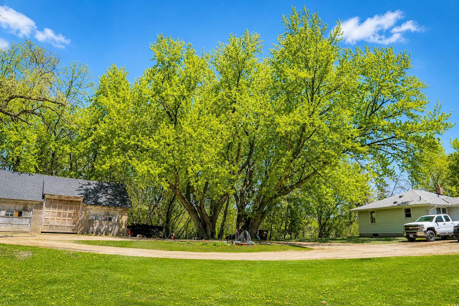 DSC_2167-Edit.jpg