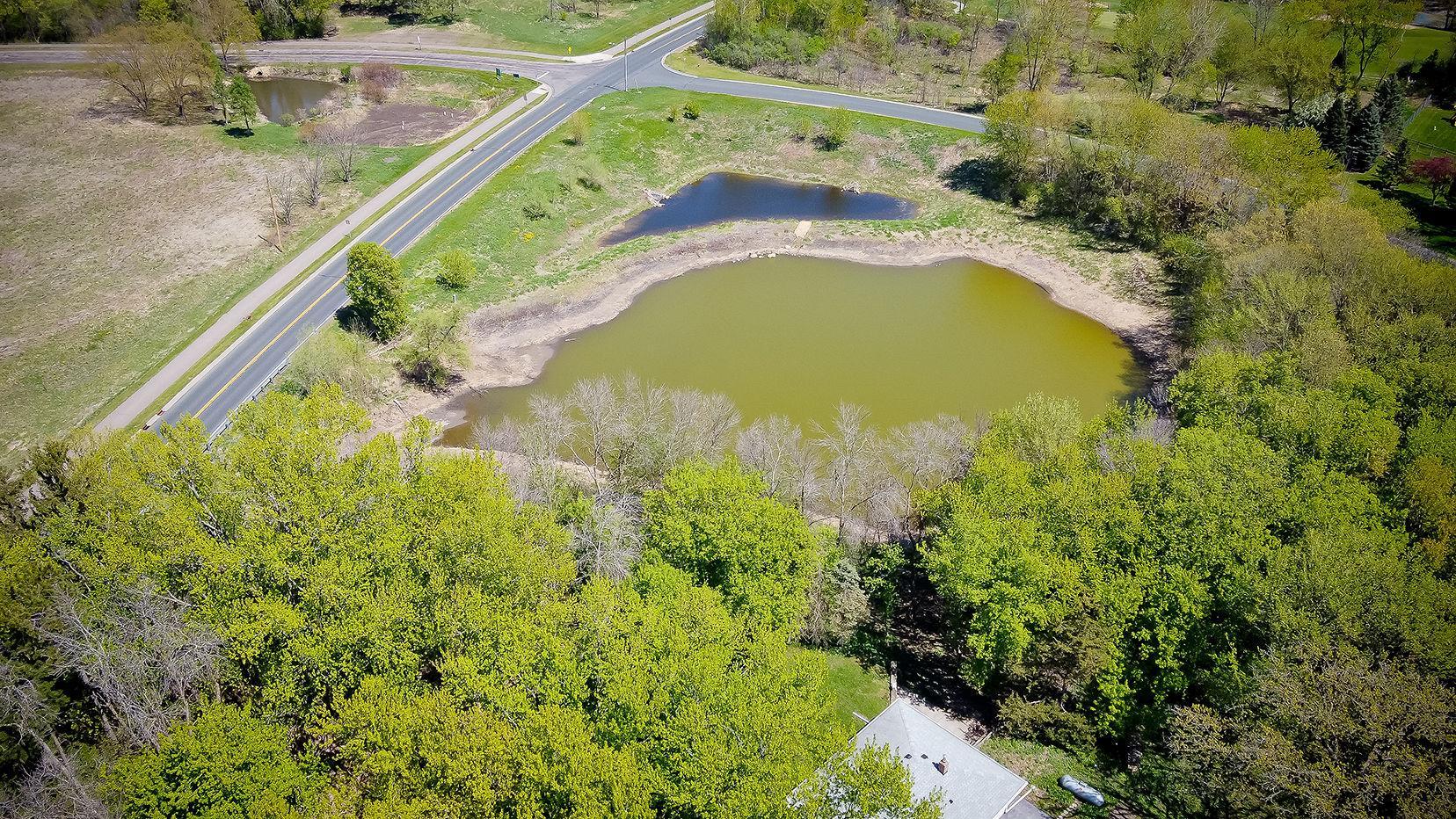 DJI_0992.jpg