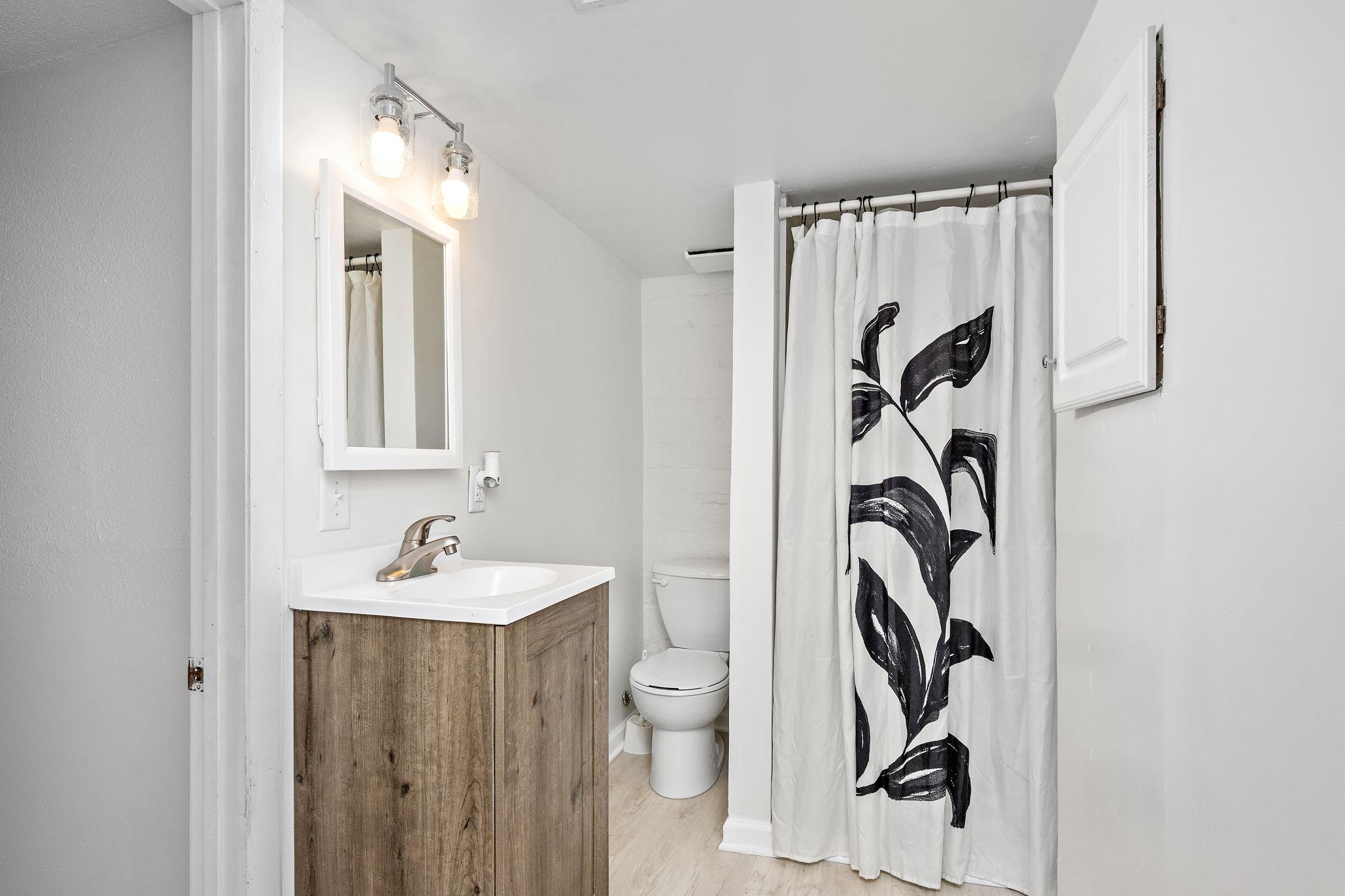 Lower level bathroom