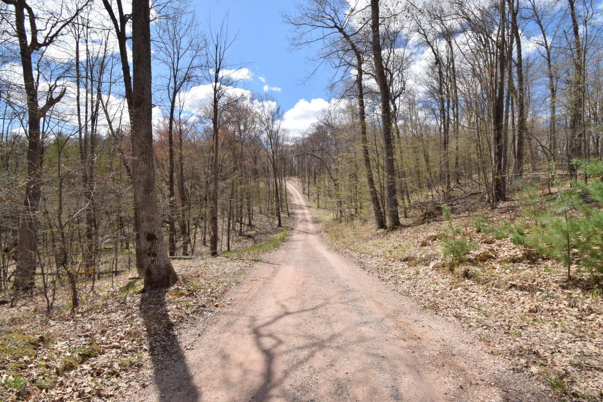 59.JPG