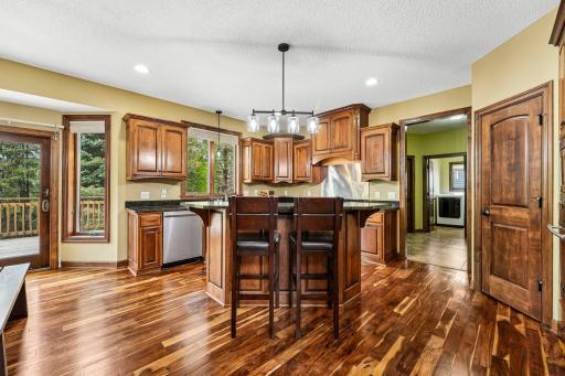 Gourmet kitchen features recently updated light fixtures