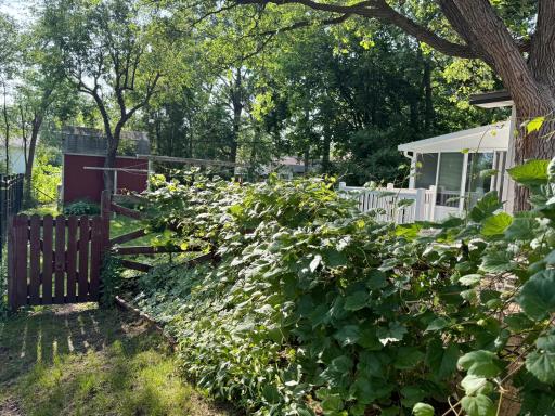 1124 Phinney Avenue, Detroit Lakes, MN 56501