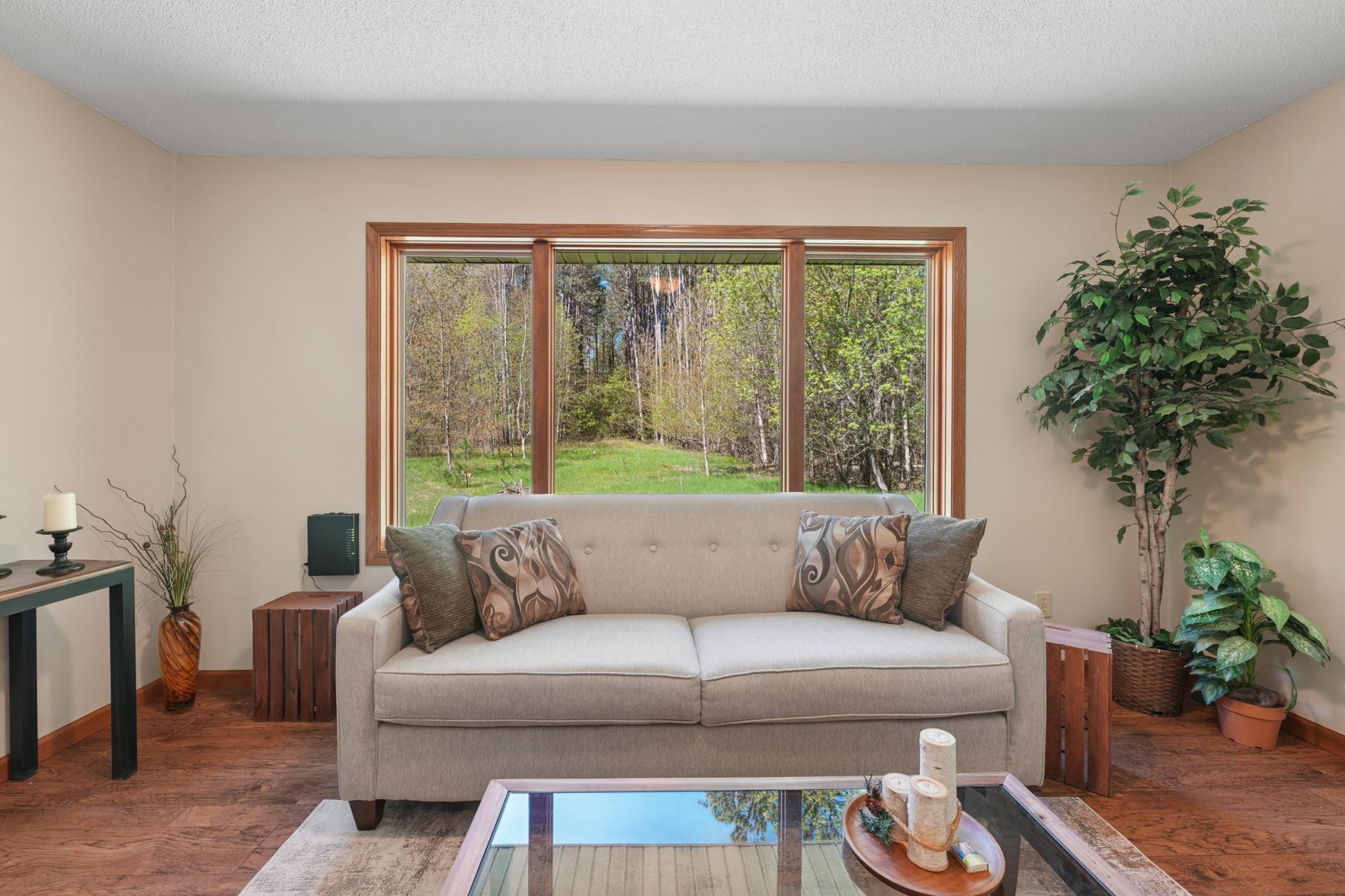 Enjoy the wildlife right from your couch
