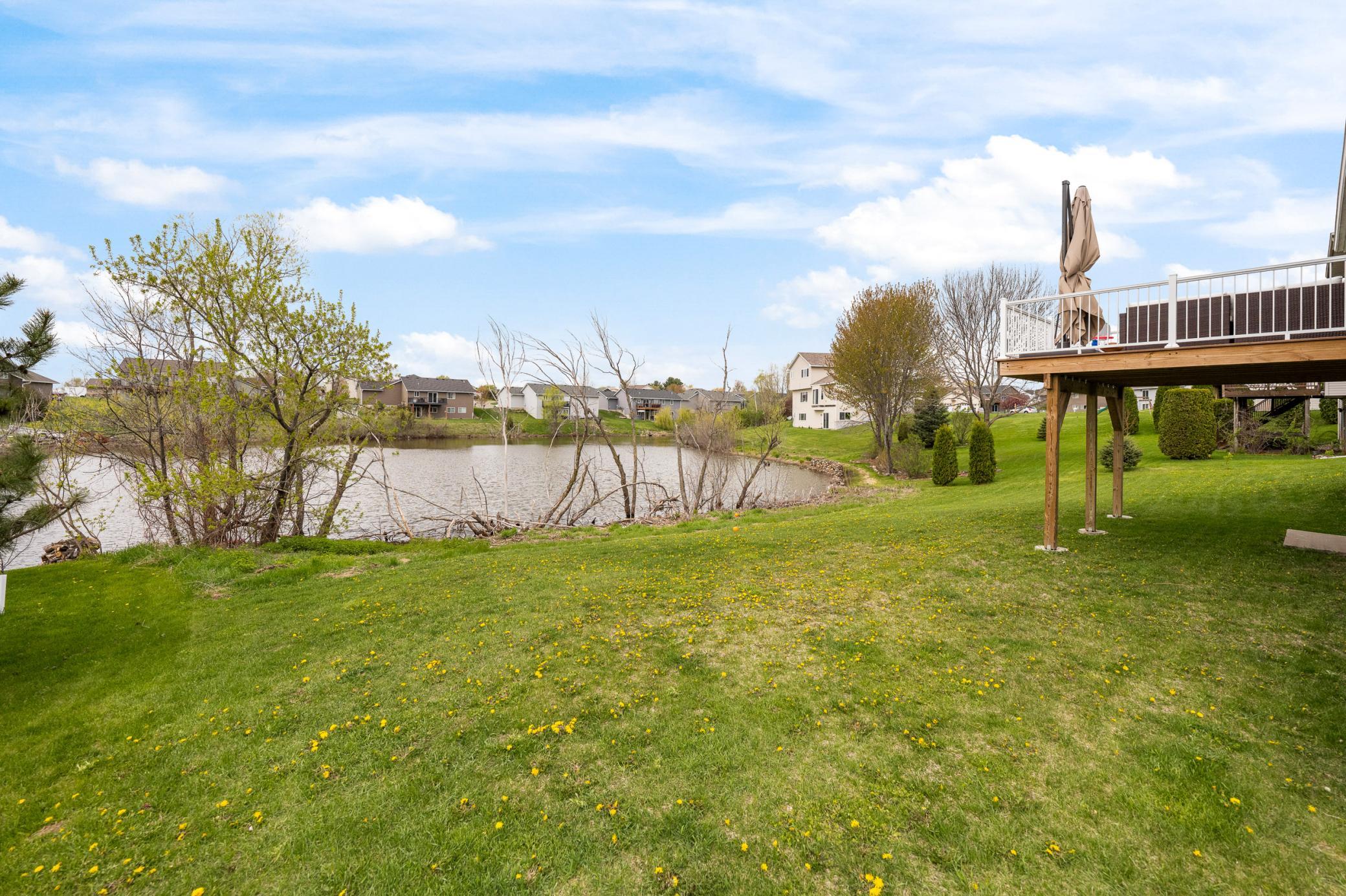 239 Plum Tree Ln-MLS-41.jpg
