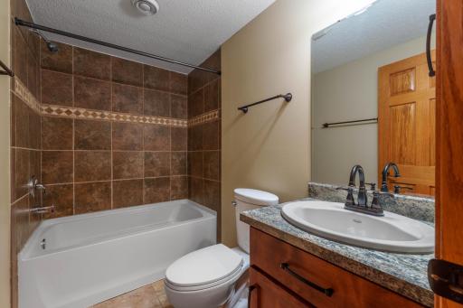 Lower Level bathroom
