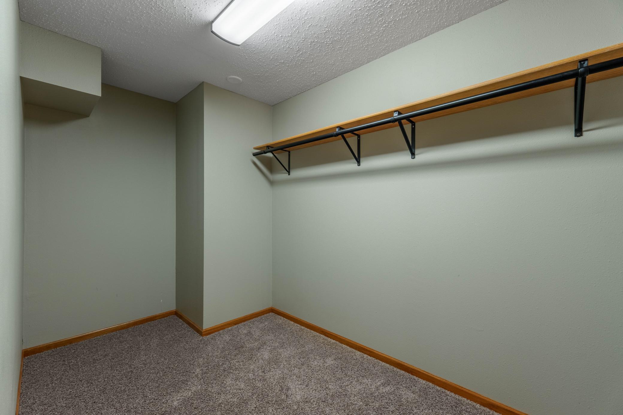 Lower Level Guest Bedroom Closet