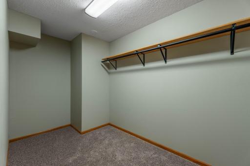 Lower Level Guest Bedroom Closet