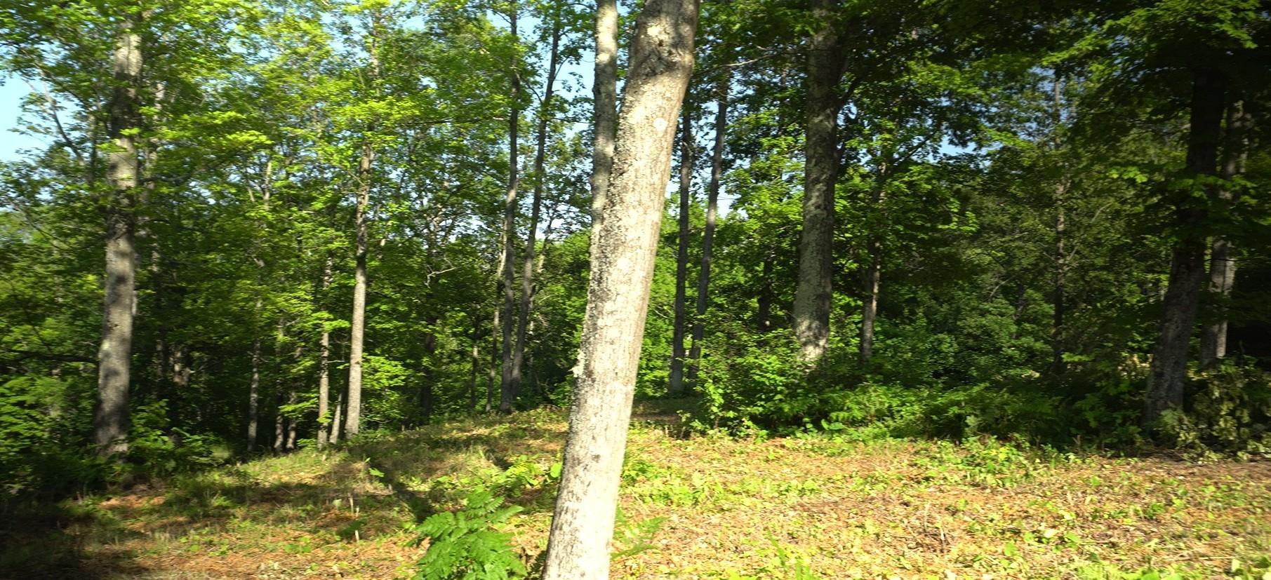 Photo 10.jpg