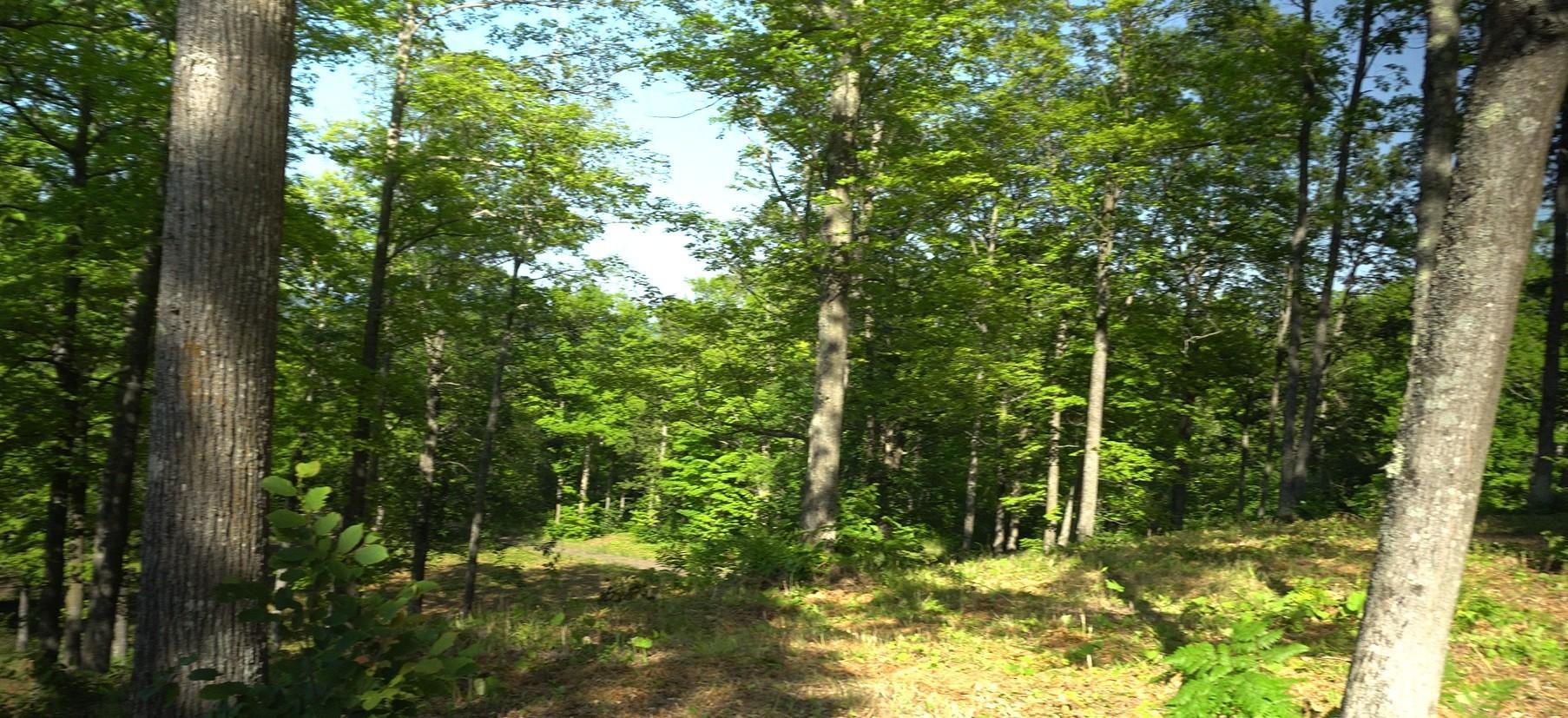 Photo 9.jpg