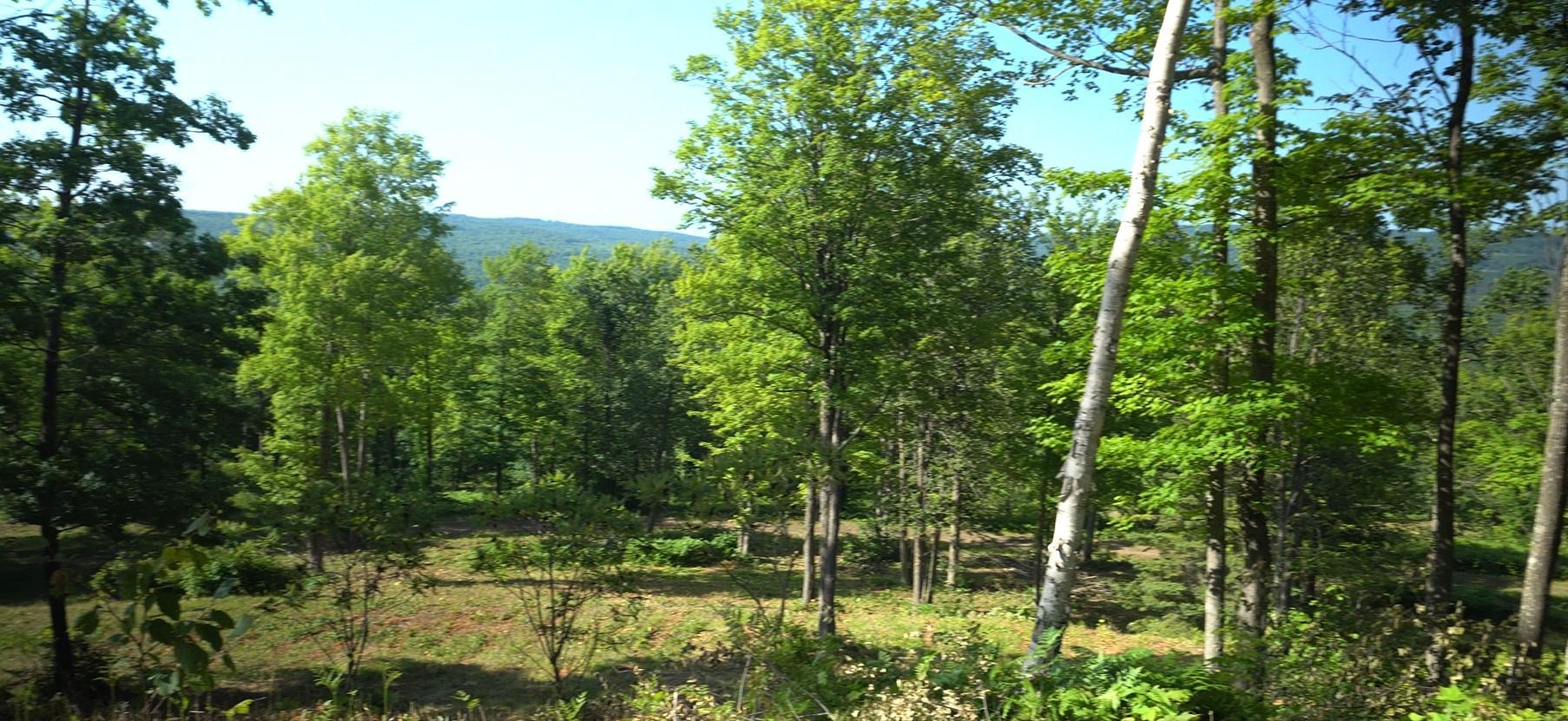 Photo 8.jpg