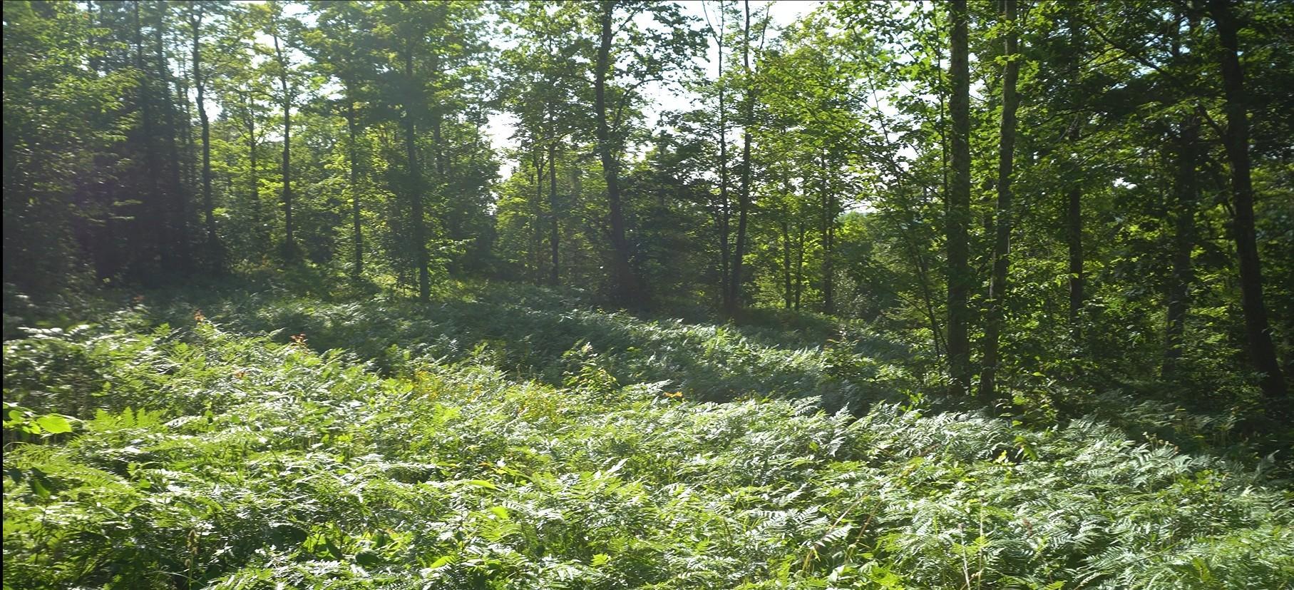 Photo 1.jpg