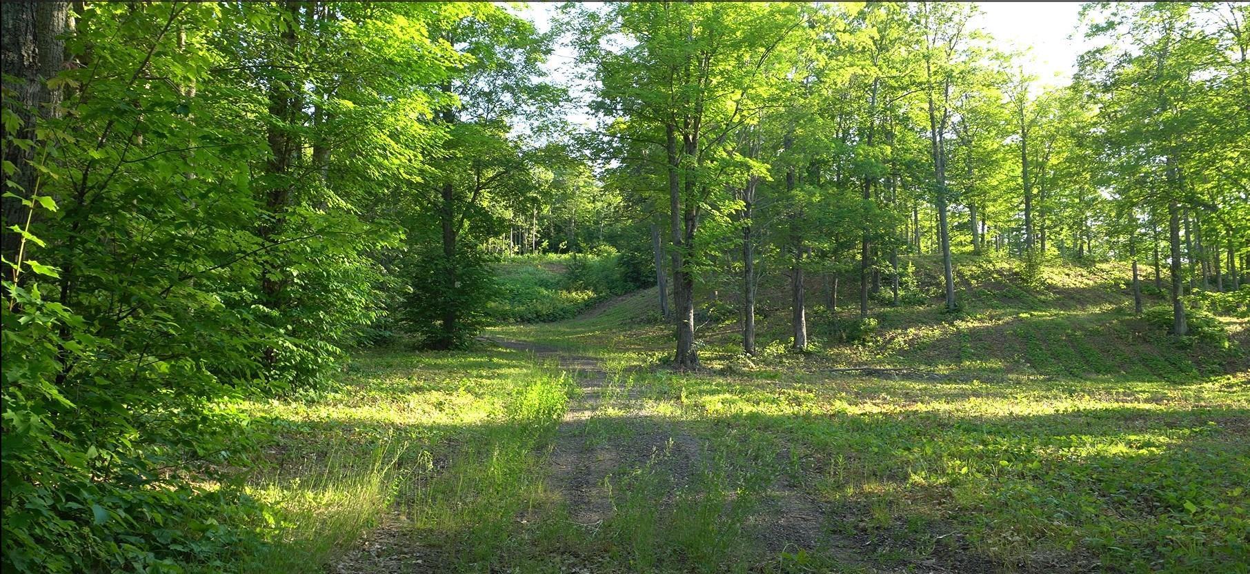 Photo 11.jpg