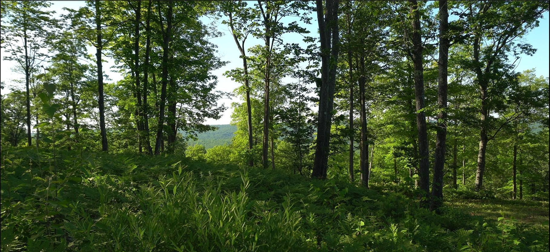 Photo 9.jpg