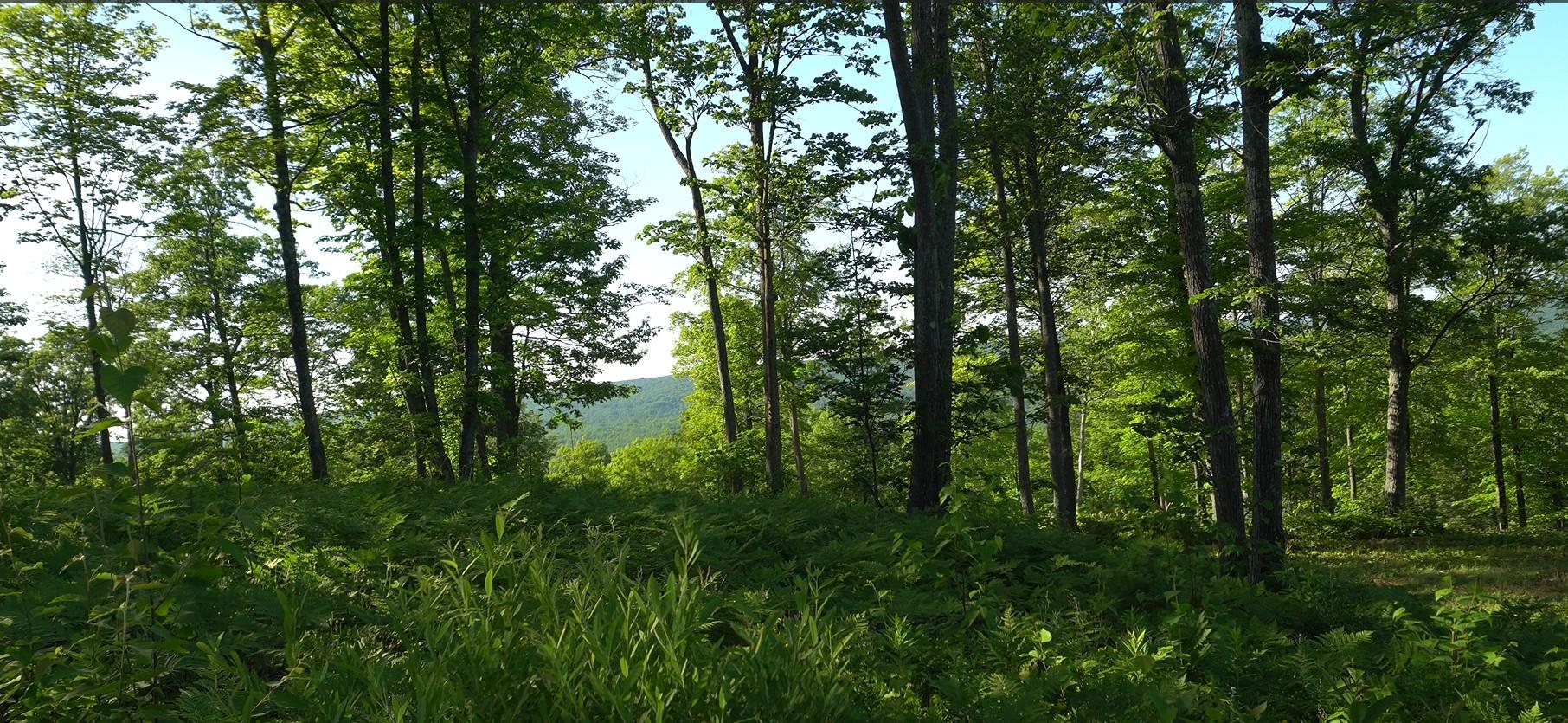 Photo 8.jpg