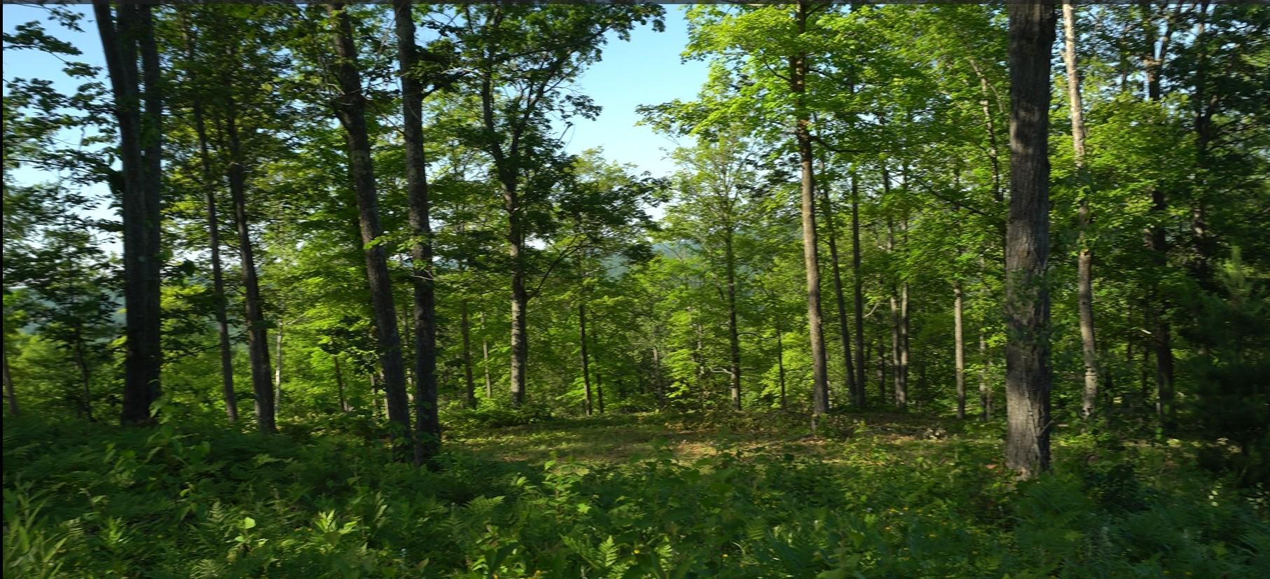 Photo 7.jpg
