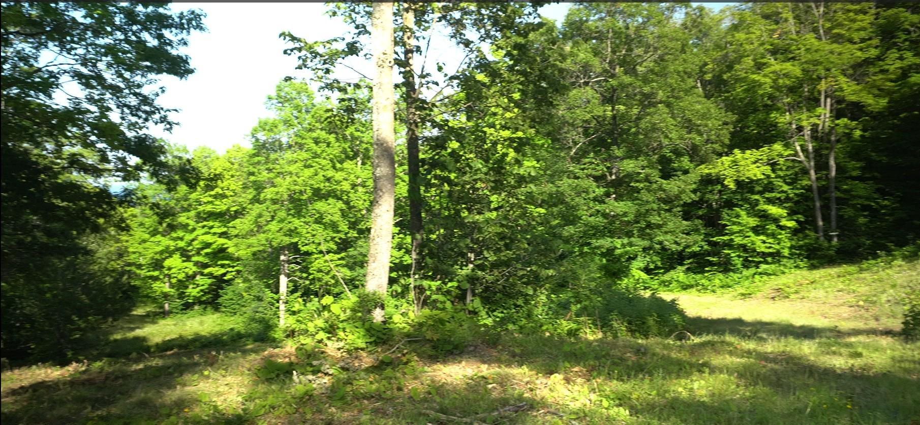 Photo 5.jpg