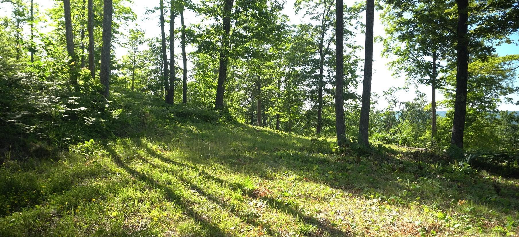 Photo 4.jpg