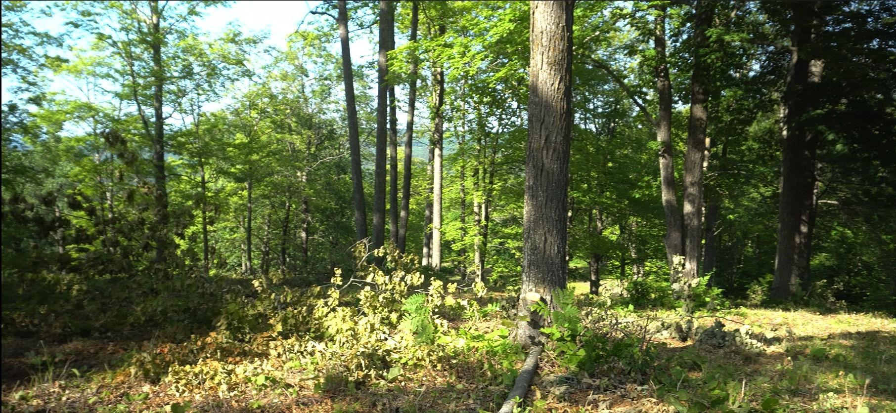 Photo 3.jpg