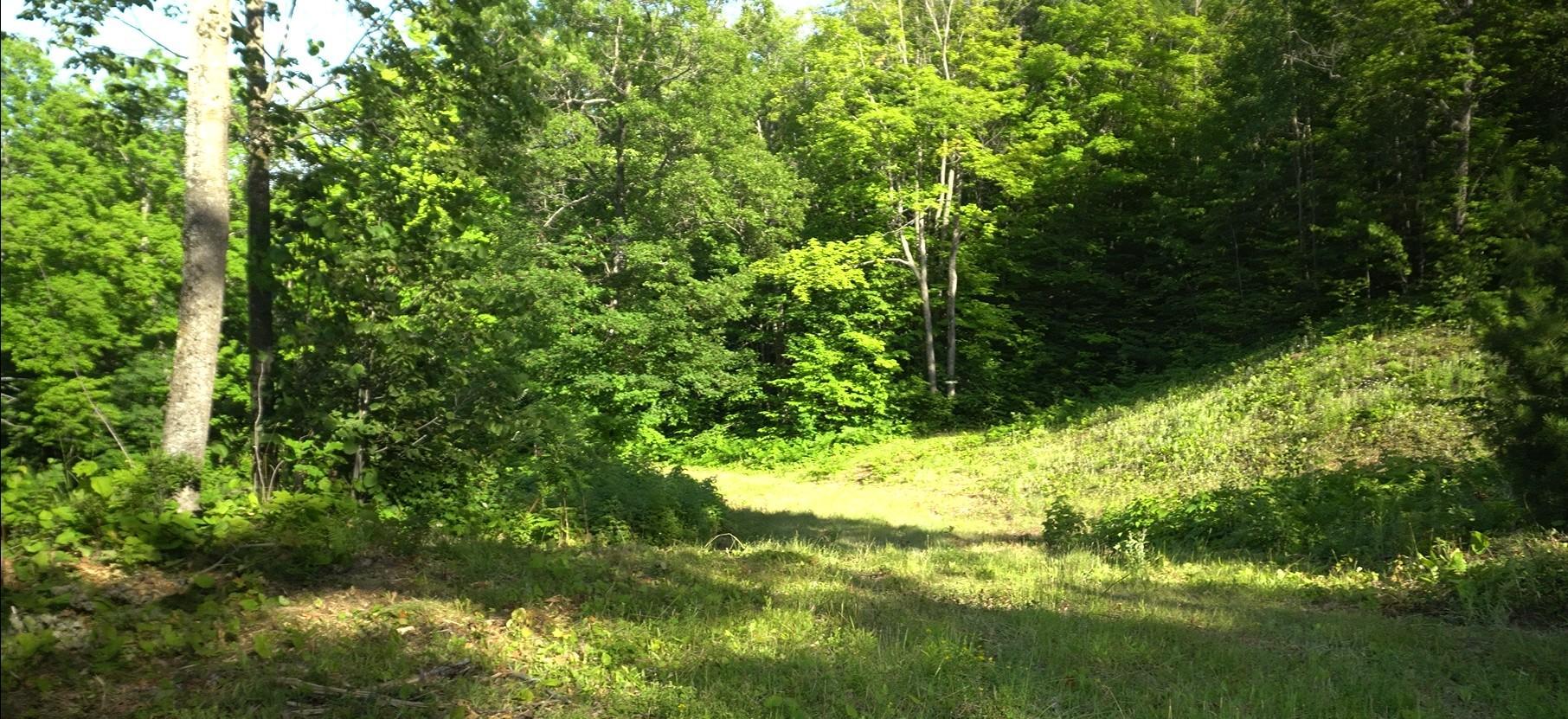 Photo 2.jpg