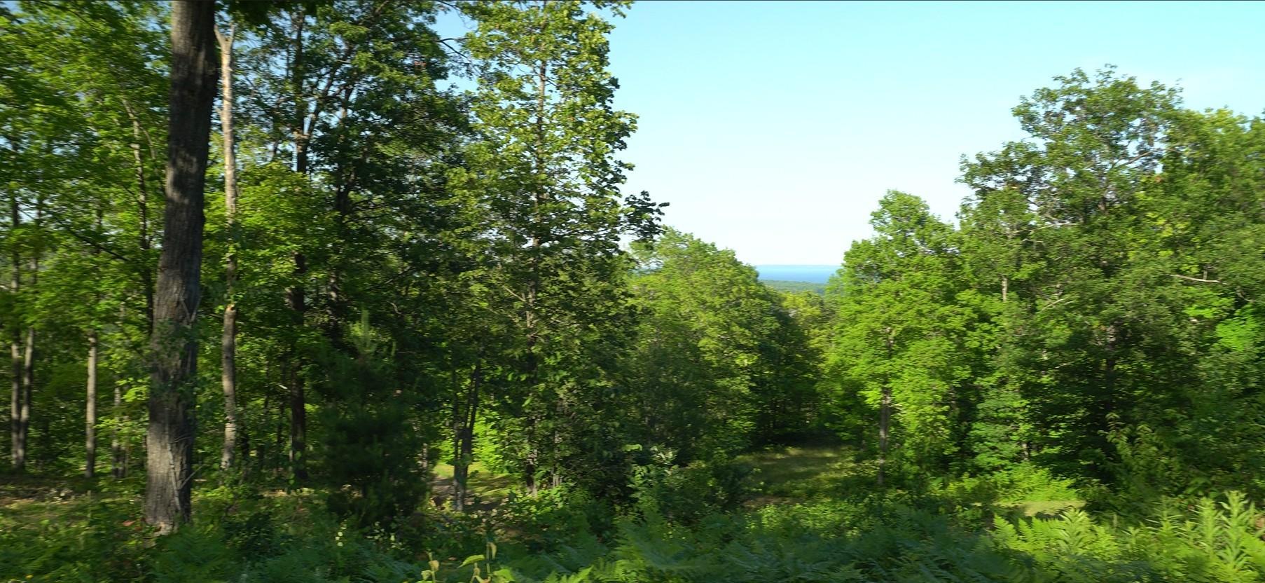 Photo10.jpg