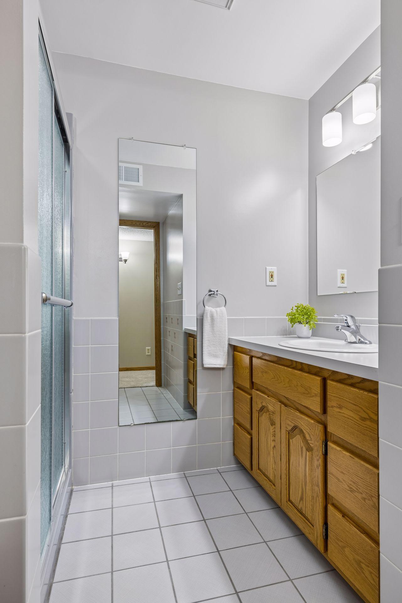 Basement Bathroom